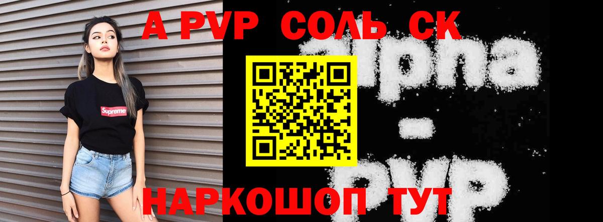 A PVP СК  Альфа ПВП СК  Саранск  Вход с VPN 