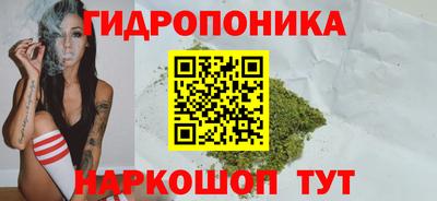 индика Нягань
