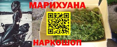 шишки Обь