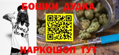 индика Нягань