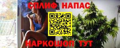 молекула духа Пенза