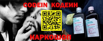 шишки Обь